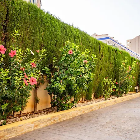 Apartamento En Oropesa Con Terraza Y Parking Lägenhet *